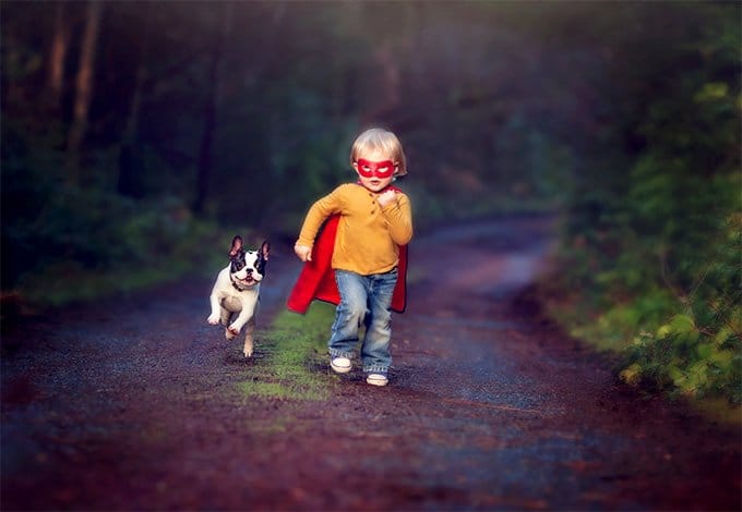 foto Perro Bulldog Francés