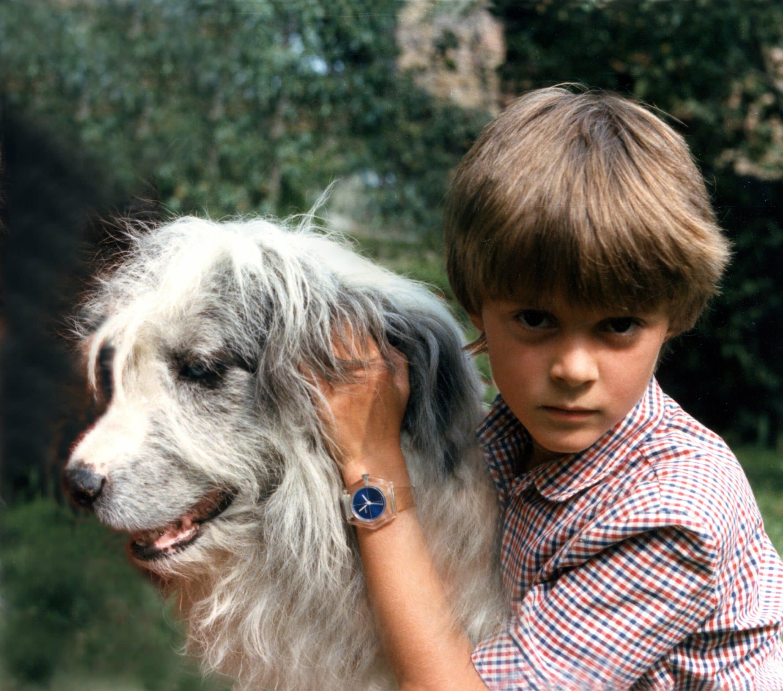 foto Perro pastor bergamasco