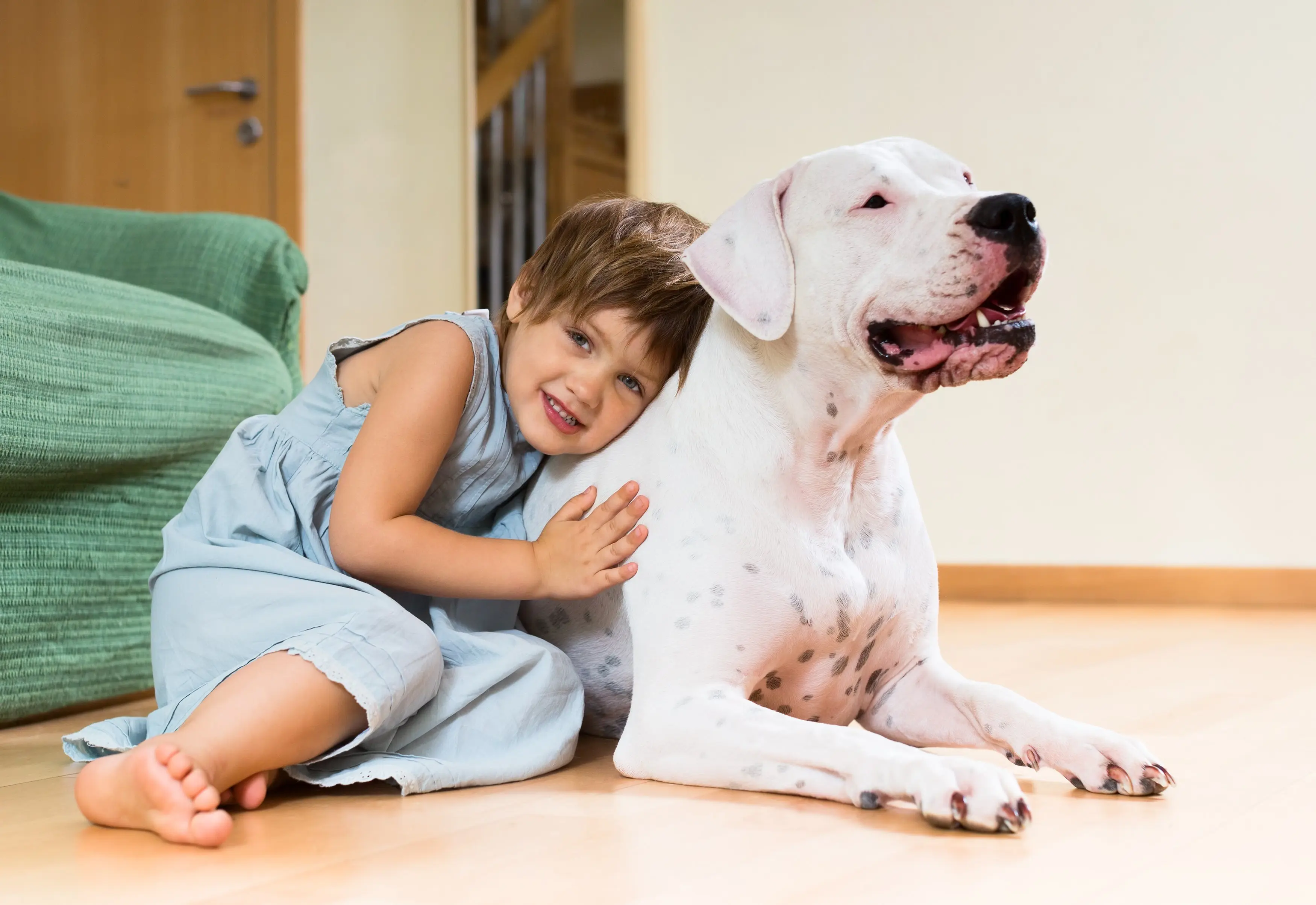 foto Perro Argentino
