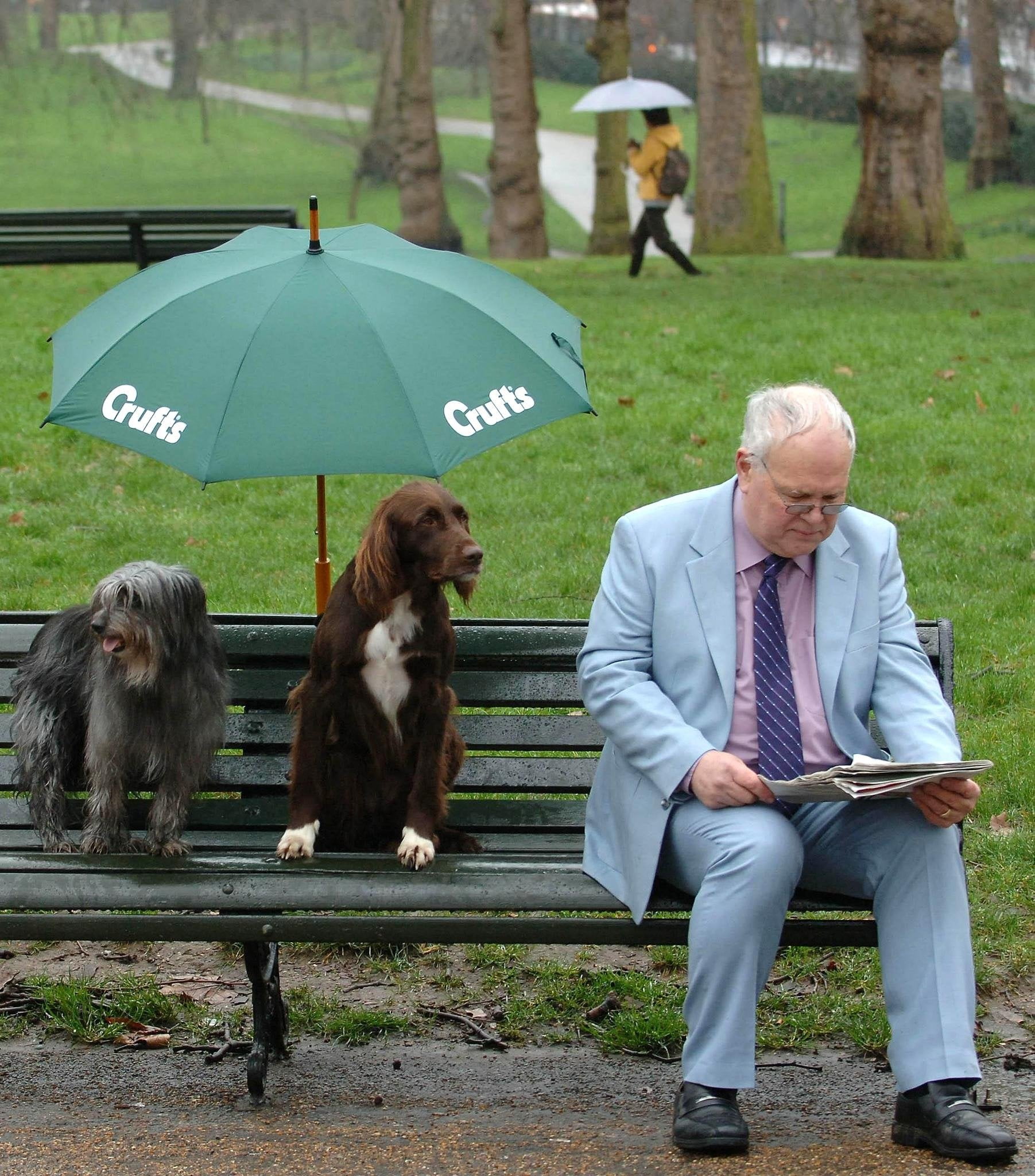 foto Perro de Pelo Largo Alemán