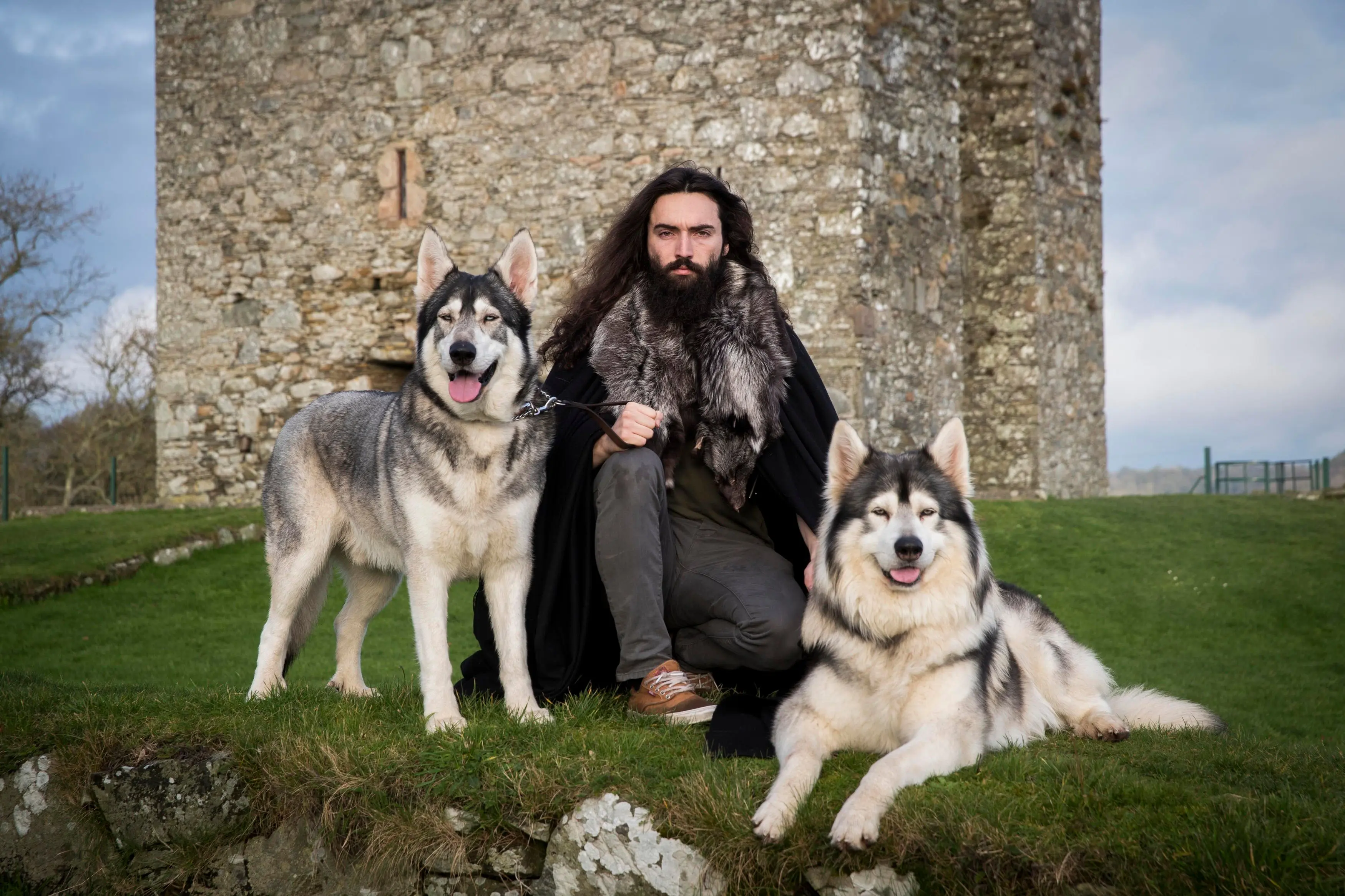 foto Perro Inuit del Norte Híbrido